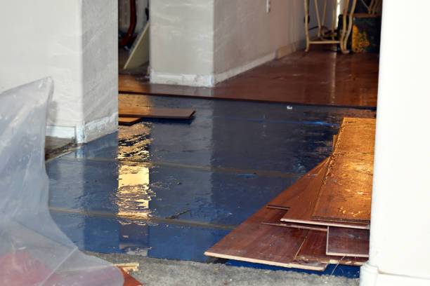 Professional Flood Cleanup technician working in Trumbull, CT